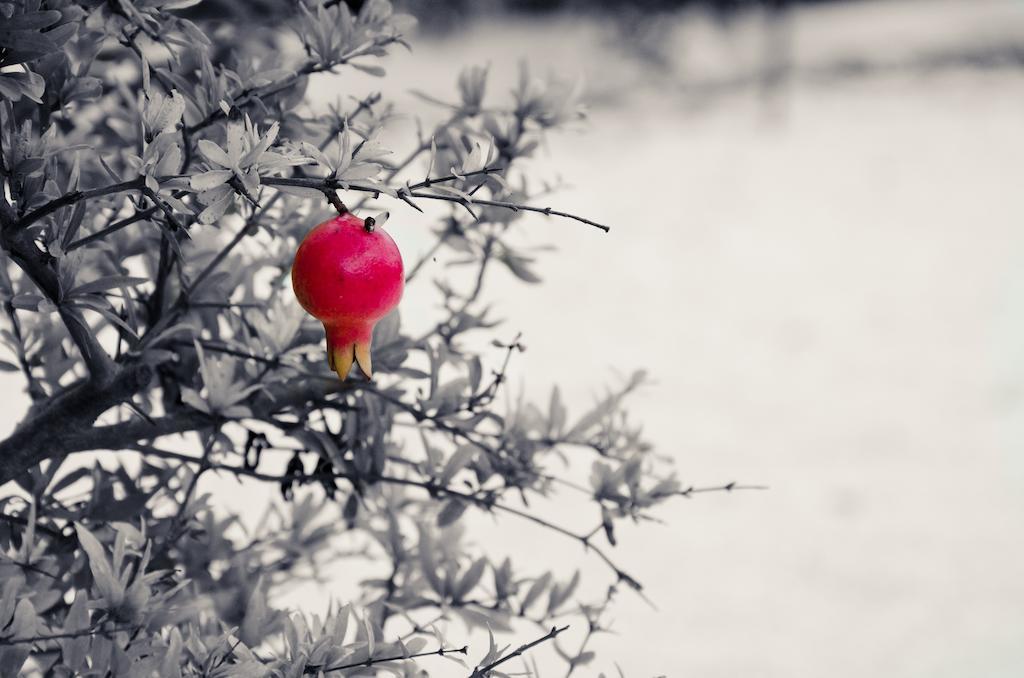 Dimora Antonella - Ostuni 4 Seasons - Splendid Villa Depandance With Private Swimming Pool エクステリア 写真